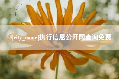 驻马店执行信息公开网查询免费