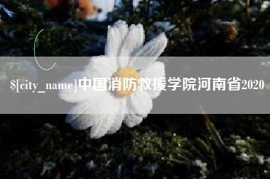 驻马店中国消防救援学院河南省2020